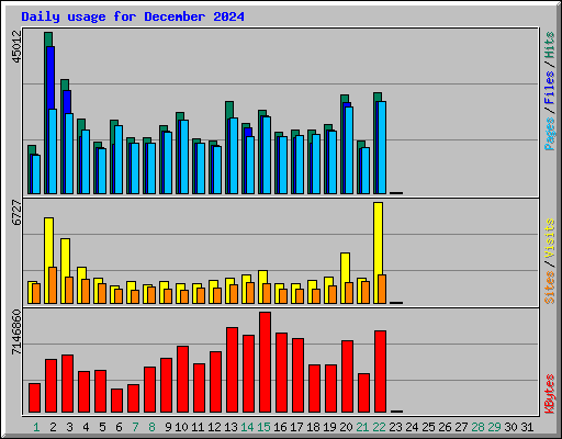 Daily usage for December 2024