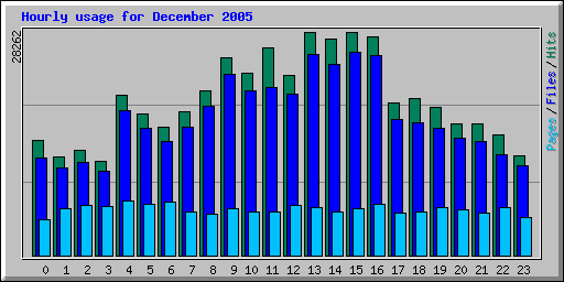 Hourly usage for December 2005