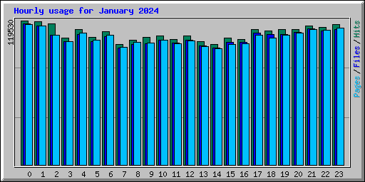 Hourly usage for January 2024