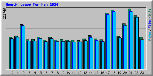 Hourly usage for May 2024