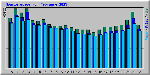 Hourly usage for February 2025