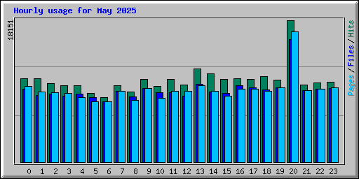 Hourly usage for May 2025