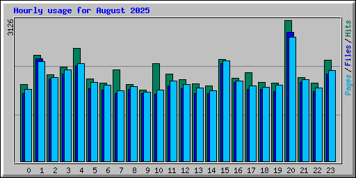 Hourly usage for August 2025