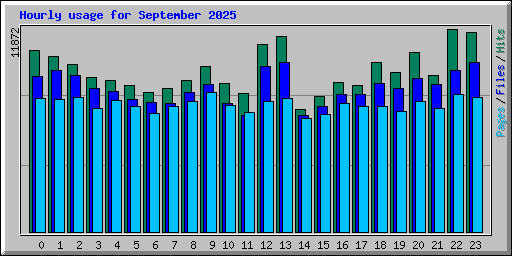 Hourly usage for September 2025