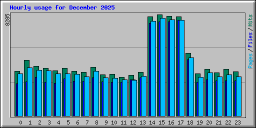 Hourly usage for December 2025