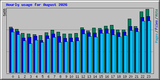 Hourly usage for August 2026